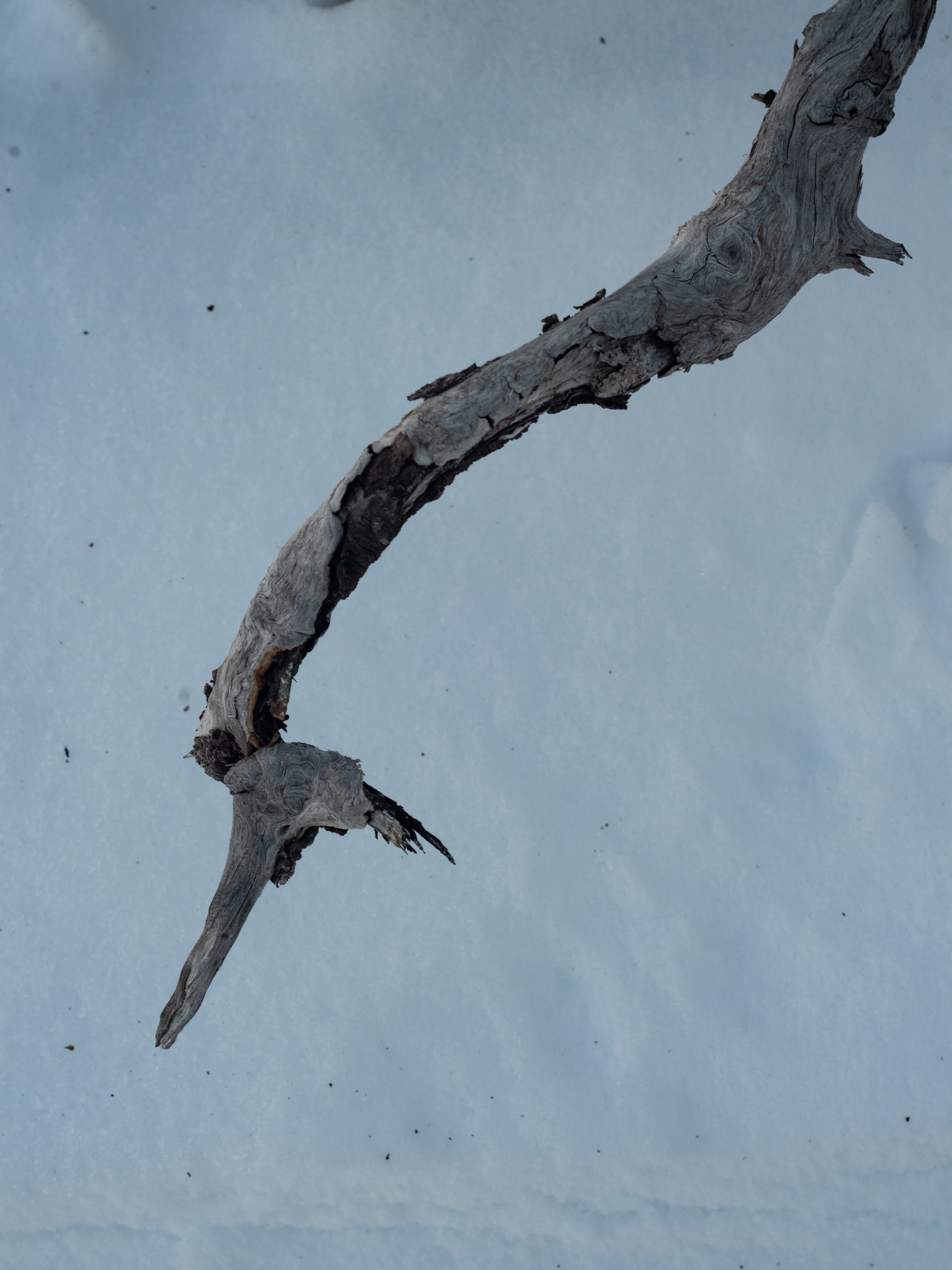 Projet 17 — visuel de couverture